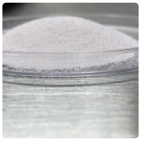 PDLLA聚双旋乳酸微球空心多孔微球原料可降解材料欢迎咨询详情
